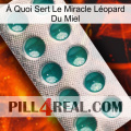 À Quoi Sert Le Miracle Léopard Du Miel dapoxetine1